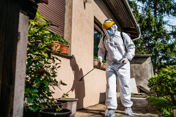 Best Best Pest Control Companies  in Pisgah, AL