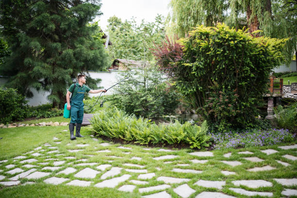 Best Residential Pest Control  in Pisgah, AL