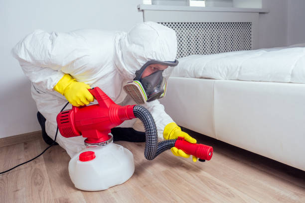 Best Insect Control  in Pisgah, AL