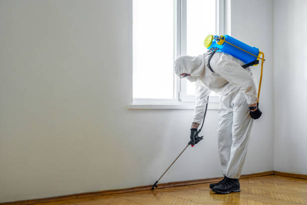 Professional Pest Control in Pisgah, AL