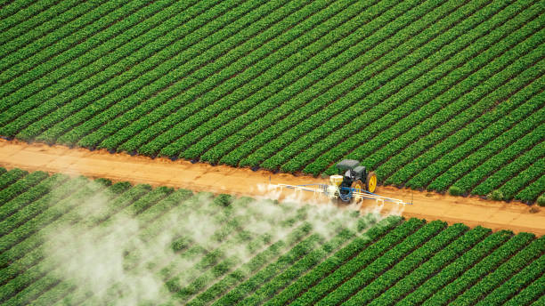 Pest Control Cost in Pisgah, AL