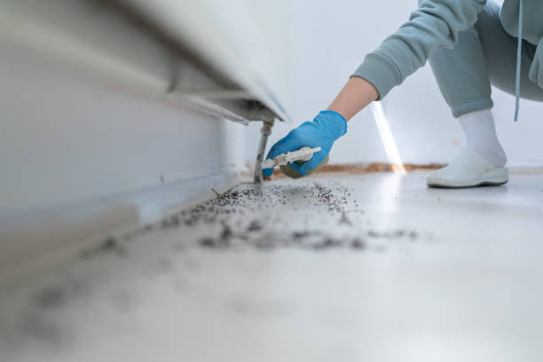 Best Pest Removal Services  in Pisgah, AL