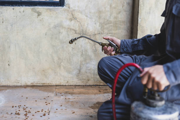 Trusted Pisgah, AL Pest Control Experts