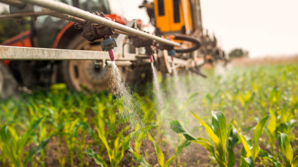 Best Ant Control Services  in Pisgah, AL