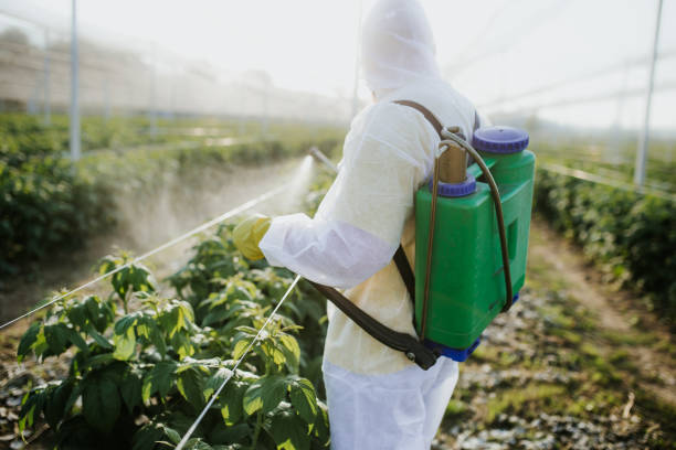 Best Mosquito Control Services  in Pisgah, AL
